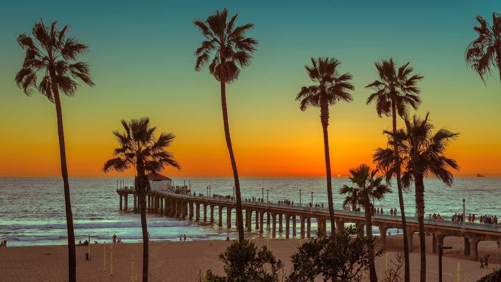 Palm trees at Manhattan Beach at sunset. Fashion travel and trop